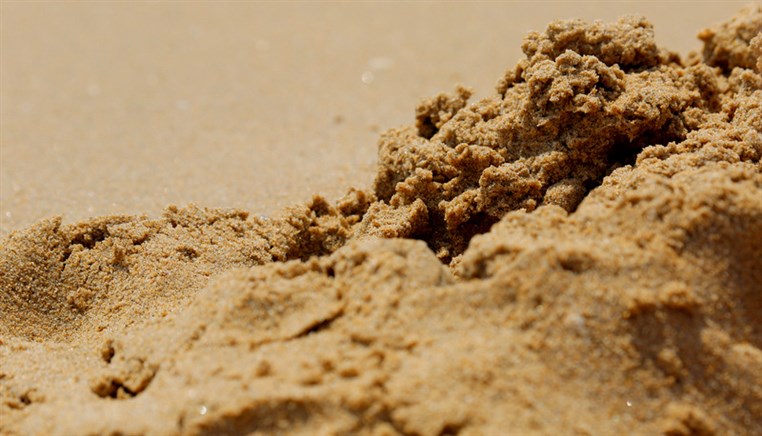 Edde Sands on Thursday 